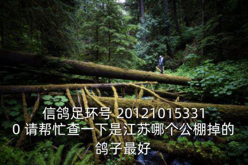 信鴿足環(huán)號 201210153310 請幫忙查一下是江蘇哪個公棚掉的鴿子最好