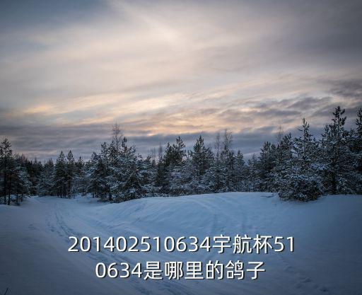 天津市信鴿楊洪民，201402510634宇航杯510634是哪里的鴿子