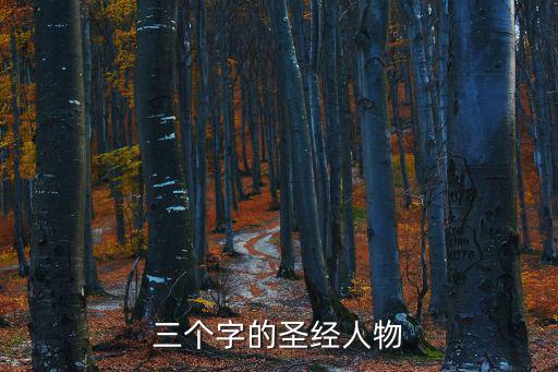 三個字的圣經人物