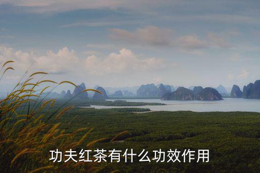 功夫紅茶有什么功效作用