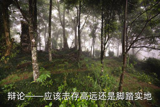 志存高遠腳踏實地,志存高遠與腳踏實地不沖突辯論