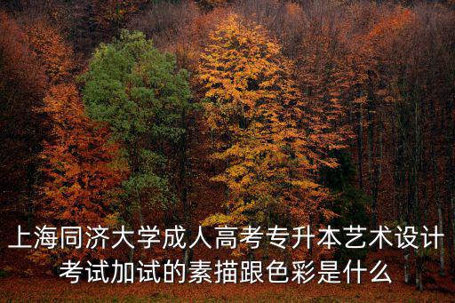 上海同濟大學成人高考專升本藝術設計考試加試的素描跟色彩是什么