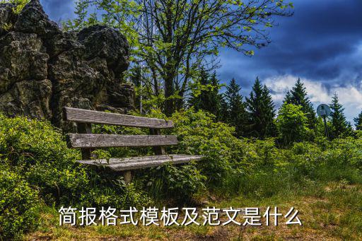 簡報格式模板及范文是什么