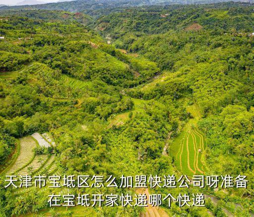天津市寶坻區(qū)怎么加盟快遞公司呀準(zhǔn)備在寶坻開家快遞哪個快遞