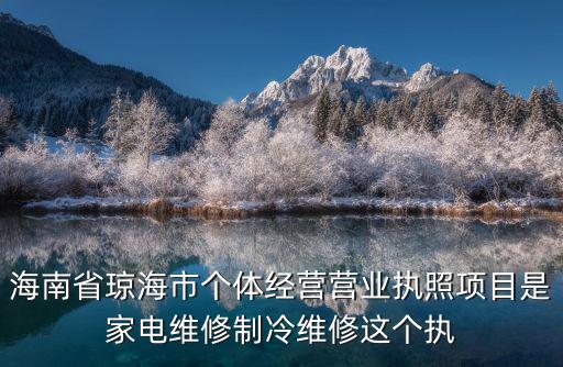 海南省瓊海市個體經(jīng)營營業(yè)執(zhí)照項目是家電維修制冷維修這個執(zhí)