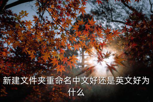 新建文件夾重命名中文好還是英文好為什么