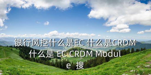銀行風控什么是EC 什么是CRDM什么是 EC CRDM Module  搜