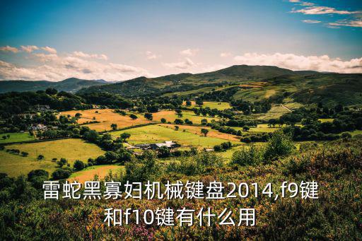 黑寡婦鍵盤,黑寡婦鍵盤怎么用?
