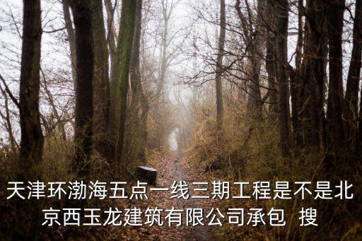 天津環渤海五點一線三期工程是不是北京西玉龍建筑有限公司承包  搜