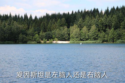 右腦人,左右半腦不平衡發展科普:左腦有過目不忘本事右腦有