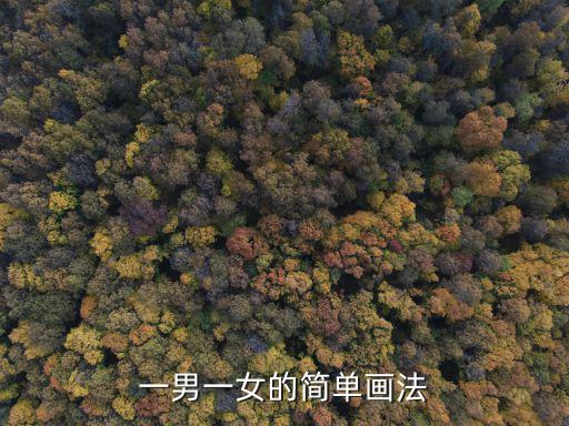 一男一女的簡單畫法