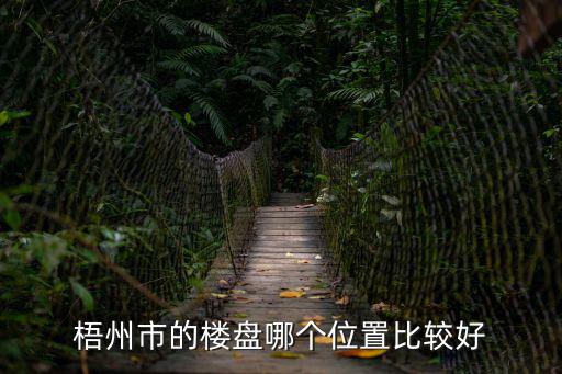 梧州房價(jià)哪個(gè)樓盤好，請問梧州哪個(gè)樓盤性價(jià)比比較高