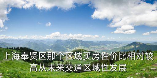 上海奉賢區(qū)那個(gè)區(qū)域買房性價(jià)比相對(duì)較高從未來(lái)交通區(qū)域性發(fā)展