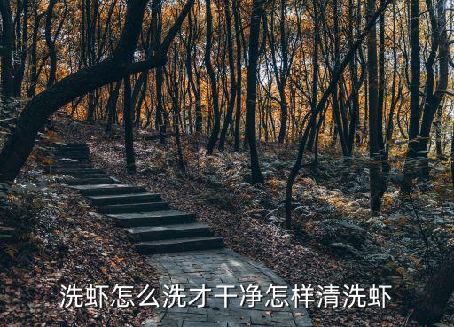 洗蝦怎么洗才干凈怎樣清洗蝦