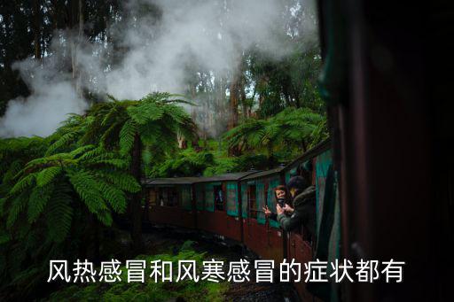 風熱感冒和風寒感冒的癥狀都有