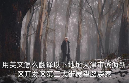 用英文怎么翻譯以下地址天津市濱海新區開發區第三大街展望路森泰