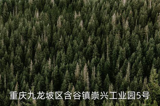 九龍坡區(qū)重慶市文物保護(hù)單位，文物保護(hù)單位