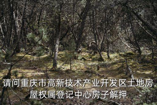 請問重慶市高新技術產業開發區土地房屋權屬登記中心房子解押