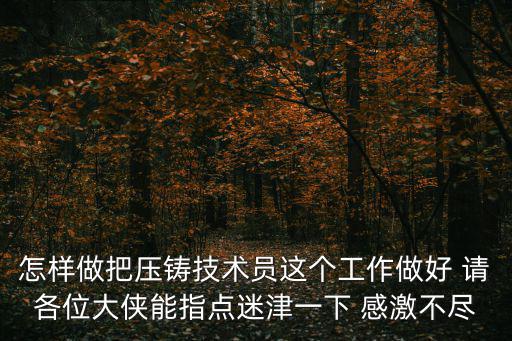 怎樣做把壓鑄技術員這個工作做好 請各位大俠能指點迷津一下 感激不盡