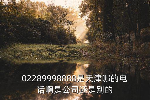 02289998888是天津哪的電話啊是公司還是別的