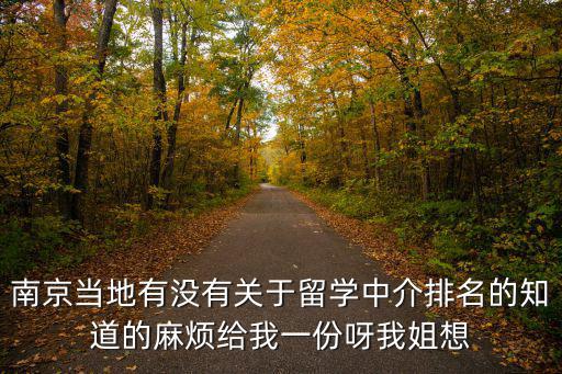 南京當地有沒有關于留學中介排名的知道的麻煩給我一份呀我姐想