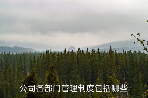 公司內部管理制度,一公司管理規章制度包括哪些內容?