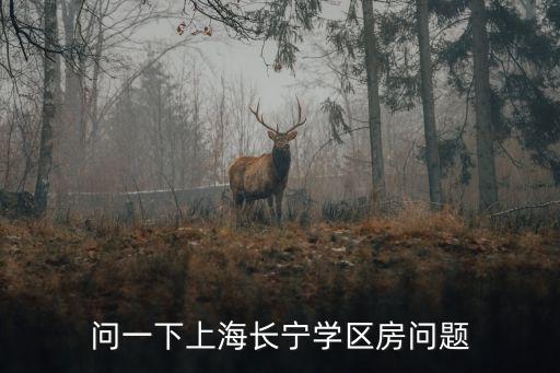 問一下上海長寧學(xué)區(qū)房問題