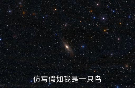 仿寫假如我是一只鳥