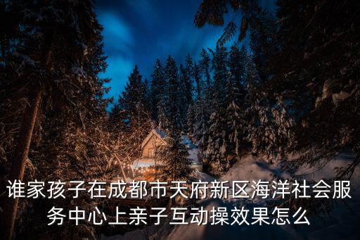 誰家孩子在成都市天府新區(qū)海洋社會服務中心上親子互動操效果怎么