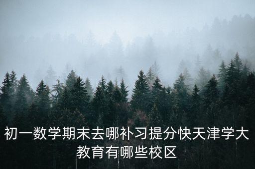 初一數學期末去哪補習提分快天津學大教育有哪些校區