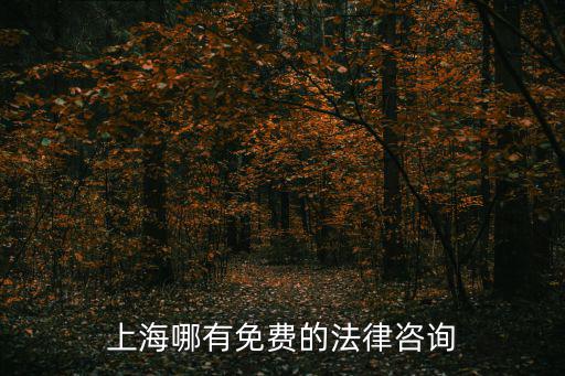上海市律師免費咨詢，上海律師事務所哪里好