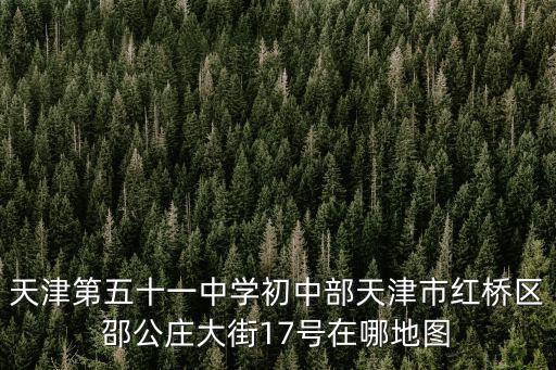 天津第五十一中學初中部天津市紅橋區邵公莊大街17號在哪地圖