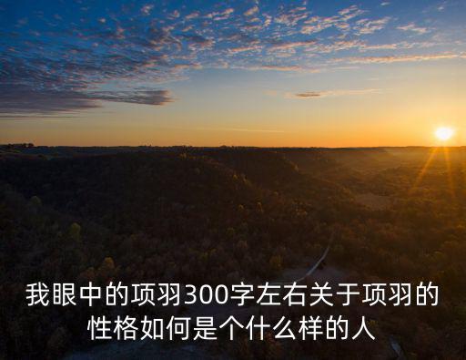 我眼中的項羽300字左右關(guān)于項羽的性格如何是個什么樣的人