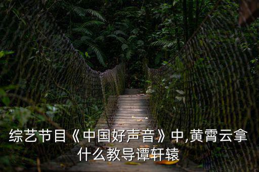 綜藝節目《中國好聲音》中,黃霄云拿什么教導譚軒轅
