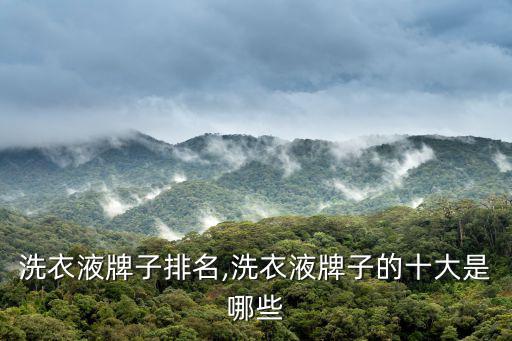 洗衣液牌子排名,洗衣液牌子的十大是哪些