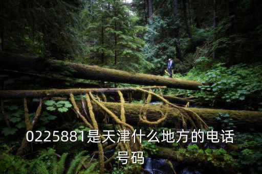 0225881是天津什么地方的電話號碼