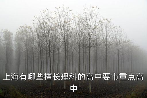 上海有哪些擅長理科的高中要市重點高中
