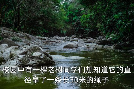 校園中有一棵老樹同學們想知道它的直徑拿了一條長30米的繩子