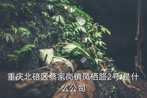 重慶市 劉東亞，重慶北碚區蔡家崗鎮鳳棲路2號 是什么公司