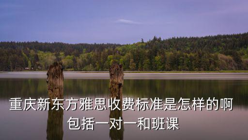 重慶新東方雅思收費標準是怎樣的啊 包括一對一和班課