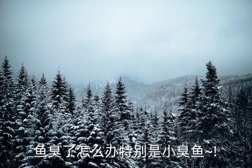 臭魚,紹興臭魚怎么做?秘制方法教你做