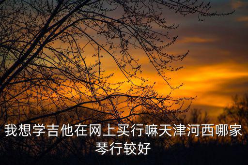 我想學吉他在網上買行嘛天津河西哪家琴行較好
