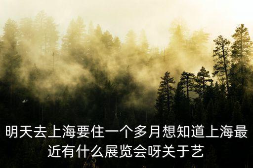 明天去上海要住一個多月想知道上海最近有什么展覽會呀關于藝