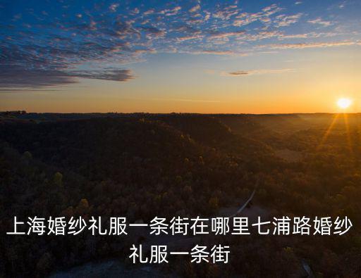 上海市結婚禮服哪里有賣，跪求上海哪里有賣中式結婚的禮服女人的穿的非婚紗
