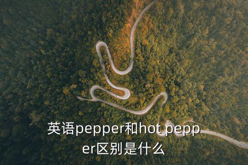 胡椒粉英文，album英文解釋
