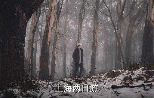 上海兩日游旅游攻略，上海二日游最佳路線及乘車方式