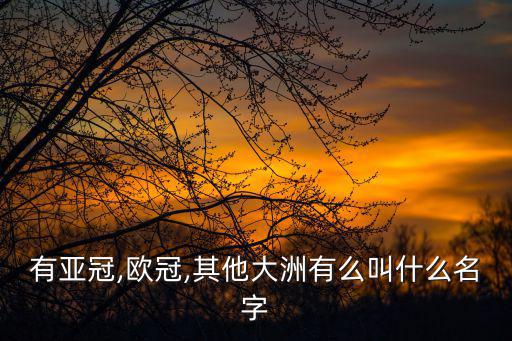有亞冠,歐冠,其他大洲有么叫什么名字