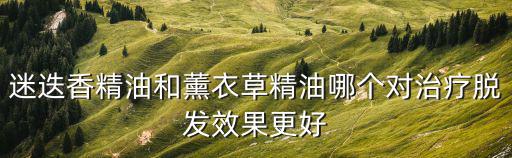 迷迭香治療脫發,迷迭香治療脫發秘訣!