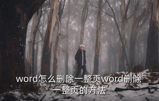 word怎么刪除一頁,怎么刪一整頁word文檔?