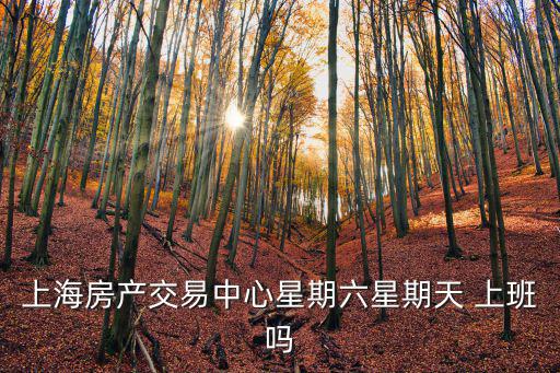 上海房產(chǎn)交易中心星期六星期天 上班嗎